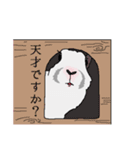 うさぎのサナ（個別スタンプ：19）