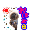 ぽむぽむ♡（個別スタンプ：1）