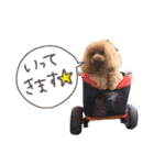 ぽむぽむ♡（個別スタンプ：12）