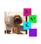 ぽむぽむ♡（個別スタンプ：15）