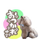 ぽむぽむ♡（個別スタンプ：20）