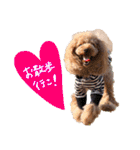 ぽむぽむ♡（個別スタンプ：24）
