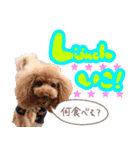 ぽむぽむ♡（個別スタンプ：25）