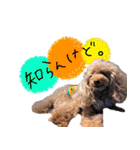 ぽむぽむ♡（個別スタンプ：34）