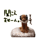 ぽむぽむ♡（個別スタンプ：36）