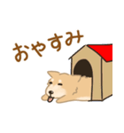 ポロちゃん基本のご挨拶（個別スタンプ：4）