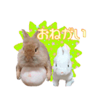 かわいいぽんぴのぷうスタンプ（個別スタンプ：24）