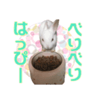 かわいいぽんぴのぷうスタンプ（個別スタンプ：34）