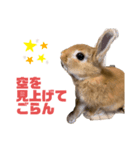 キラキラboyむぎ太のお言葉（個別スタンプ：1）