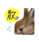 キラキラboyむぎ太のお言葉（個別スタンプ：2）