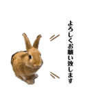 キラキラboyむぎ太のお言葉（個別スタンプ：6）