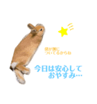 キラキラboyむぎ太のお言葉（個別スタンプ：7）
