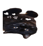 黒猫のあ のスタンプ 3（個別スタンプ：3）
