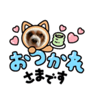 家の愛犬は神（個別スタンプ：2）