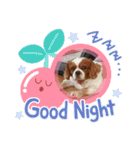 家の愛犬は神（個別スタンプ：9）
