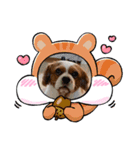 家の愛犬は神（個別スタンプ：10）