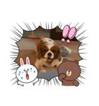家の愛犬は神（個別スタンプ：14）