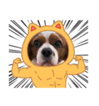 家の愛犬は神（個別スタンプ：16）