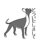 犬種いろいろリアルなタッチの敬語スタンプ（個別スタンプ：2）
