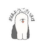 犬種いろいろリアルなタッチの敬語スタンプ（個別スタンプ：4）
