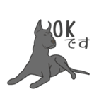 犬種いろいろリアルなタッチの敬語スタンプ（個別スタンプ：5）