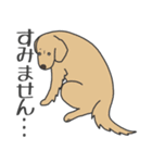 犬種いろいろリアルなタッチの敬語スタンプ（個別スタンプ：8）