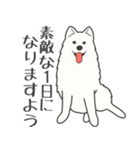 犬種いろいろリアルなタッチの敬語スタンプ（個別スタンプ：9）