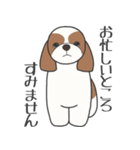 犬種いろいろリアルなタッチの敬語スタンプ（個別スタンプ：10）