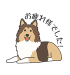 犬種いろいろリアルなタッチの敬語スタンプ（個別スタンプ：11）