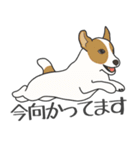 犬種いろいろリアルなタッチの敬語スタンプ（個別スタンプ：13）