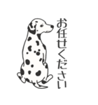 犬種いろいろリアルなタッチの敬語スタンプ（個別スタンプ：14）