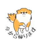 犬種いろいろリアルなタッチの敬語スタンプ（個別スタンプ：16）