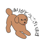 犬種いろいろリアルなタッチの敬語スタンプ（個別スタンプ：18）