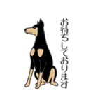 犬種いろいろリアルなタッチの敬語スタンプ（個別スタンプ：19）