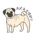 犬種いろいろリアルなタッチの敬語スタンプ（個別スタンプ：20）