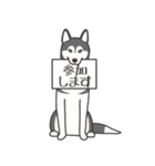 犬種いろいろリアルなタッチの敬語スタンプ（個別スタンプ：22）