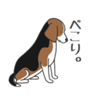 犬種いろいろリアルなタッチの敬語スタンプ（個別スタンプ：27）