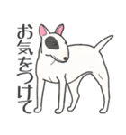 犬種いろいろリアルなタッチの敬語スタンプ（個別スタンプ：28）