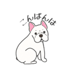 犬種いろいろリアルなタッチの敬語スタンプ（個別スタンプ：30）