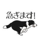 犬種いろいろリアルなタッチの敬語スタンプ（個別スタンプ：31）