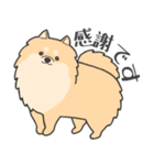 犬種いろいろリアルなタッチの敬語スタンプ（個別スタンプ：33）