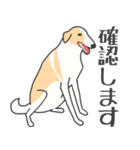 犬種いろいろリアルなタッチの敬語スタンプ（個別スタンプ：34）