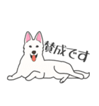 犬種いろいろリアルなタッチの敬語スタンプ（個別スタンプ：35）