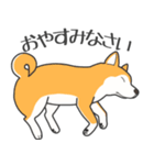 犬種いろいろリアルなタッチの敬語スタンプ（個別スタンプ：36）