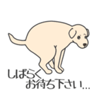 犬種いろいろリアルなタッチの敬語スタンプ（個別スタンプ：37）