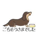 犬種いろいろリアルなタッチの敬語スタンプ（個別スタンプ：38）