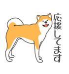 犬種いろいろリアルなタッチの敬語スタンプ（個別スタンプ：39）