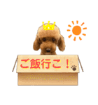 るふぃえーす（個別スタンプ：23）