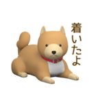 柴犬のぬいぐるみ（個別スタンプ：5）