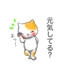 手描きねこの毎日（個別スタンプ：13）